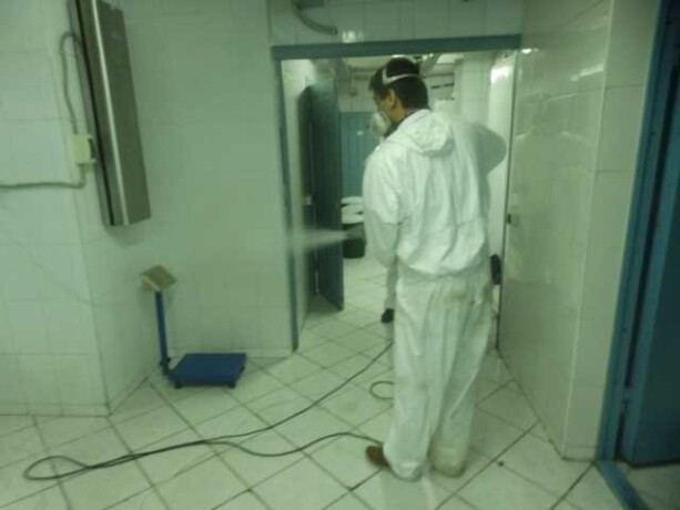 uborka-kottedzei-kvartir-pomeshhenii30-v-samare-predlozenie-uslugi-v-obieiavlenii-u8670164-4017206-na-baraxlanet-big-4