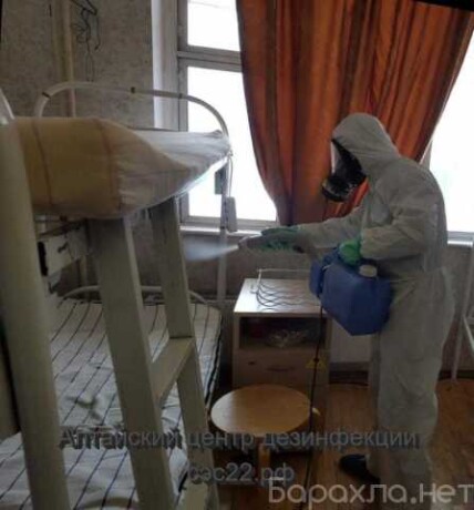 unictozenie-nasekomyx-i-gryzunov-v-permi-predlozenie-uslugi-v-obieiavlenii-u27239670-na-baraxlanet-big-1