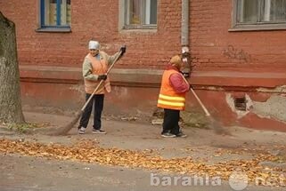 uborka-territorii-v-barnaule-predlozenie-uslugi-v-obieiavlenii-u15504640-5994653-na-baraxlanet-big-2