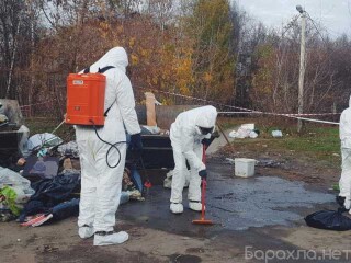 ximcistka-divanov-kovrov-matrasov30-predlozenie-uslugi-v-obieiavlenii-u8565008-3951964-na-baraxlanet
