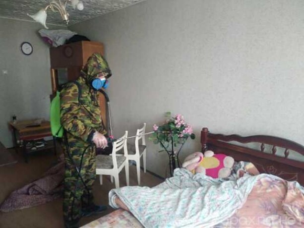 predlagaiu-uslugi-po-uborke-kvartir-ofis-v-sevastopole-predlozenie-uslugi-v-obieiavlenii-u27195386-na-baraxlanet-big-1