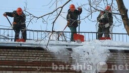 vyvozim-musoragruzciki-v-barnaule-predlozenie-uslugi-v-obieiavlenii-u4990329-2528832-na-baraxlanet-big-3