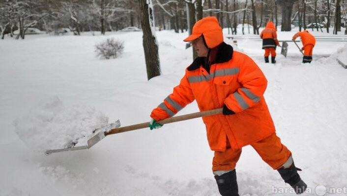 vyvoz-pogruzka-musorauborka-territorii-v-kolomne-predlozenie-uslugi-v-obieiavlenii-u15523729-5995020-na-baraxlanet-big-3