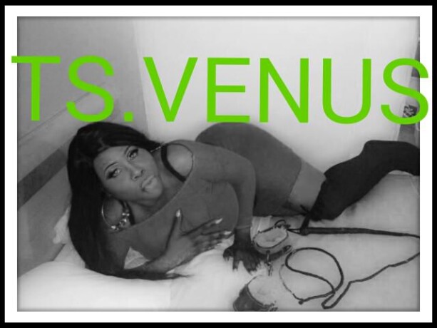 shemale-escort-in-florence-sc-786-859-2272-big-3
