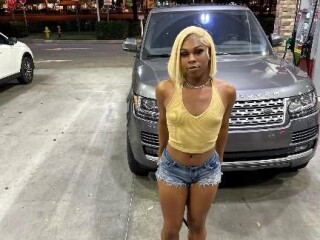 shemale-escort-in-farmington-nm-575-252-8363