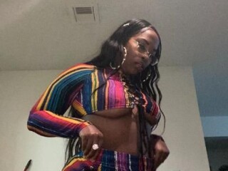 star-female-escorts-in-houston-tx