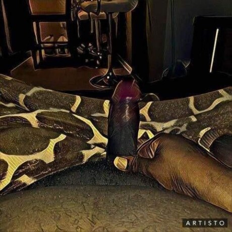 shemale-escort-in-baton-rouge-la-225-900-2539-big-4