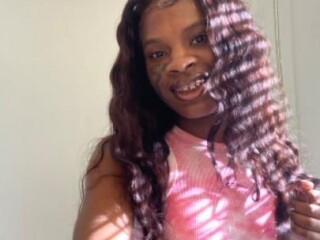 asia-shemale-escort-in-macon-ga