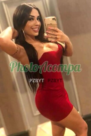 marion-rainha-do-sexo-gata-bem-gostosa-e-completa-photoacompanhantes-big-0