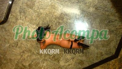 liz-brandapso-gata-de-21-anos-com-local-pra3prio-pra-te-receber-photoacompanhantes-big-2