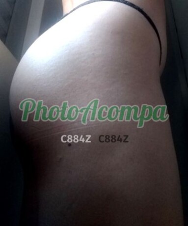 gaby-gata-do-bundapso-gostoso-com-promocapso-na-rapidinha-photoacompanhantes-big-2