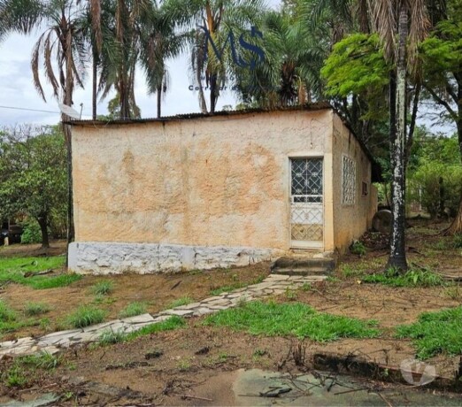 chacara-50mil-m2-planaltina-df-bonsucesso-brasilia-centro-chacaras-e-sitios-a-venda-big-3