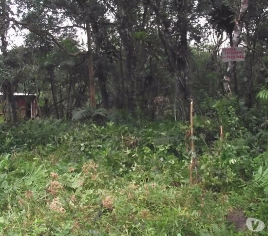 terreno-com-280mts-em-itanhaem-sp-itanhaem-sp-encontre-terrenos-a-venda-itanhaem-sp-big-0