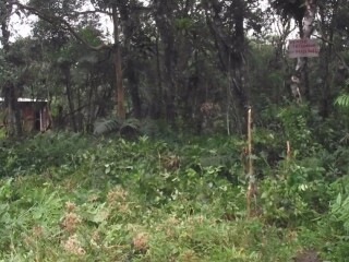 terreno-itanhaem-sp-35mil-itanhaem-sp-encontre-terrenos-a-venda-itanhaem-sp