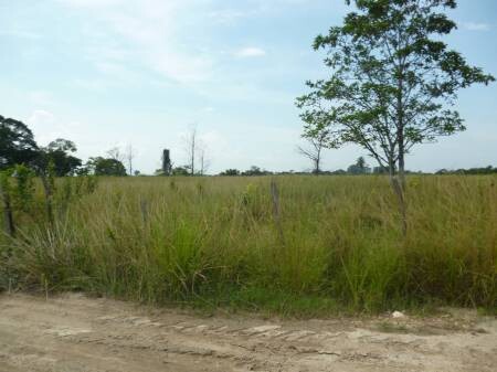 terreno-100000m2-arco-metropolitano-chapero-seropedica-rj-seropedica-rj-encontre-terrenos-a-venda-seropedica-rj-big-1