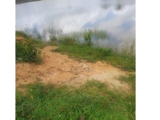 terreno-localizado-a-margem-direita-da-br-319-careiro-am-encontre-terrenos-a-venda-careiro-am
